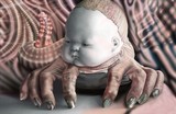 by Noel Bebee