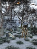 by Rebecca Clymo
