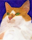 by judie cole