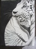 by Katy Kerr