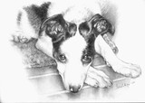 by Geraldine Simmons