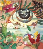 by Oxaya C lofgreen