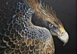 by Justin Dancing Hawk