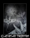 by Adrian Trevino