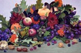by hannie staat