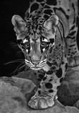 by Sheryl Unwin