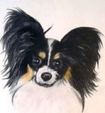 by Diane Kopczeski