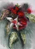 by hilary SLATER