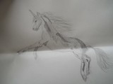 by nani  loke