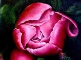by lorie turpin