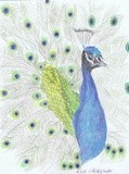 by Claudia Luethi alias Abdelghafar