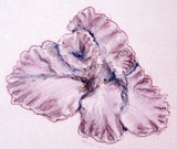 by Dana Koffenberger