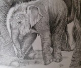 by paul stratton