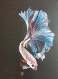 by Sheila  Fleming 