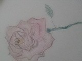 by Sophie Wilson