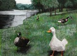 by Kathleen Brake