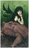 by Rebecca Sinz