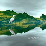 by Anne Vis