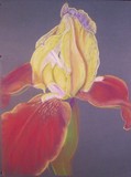 by Trish Gename
