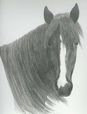 by White Horse Design Studio