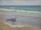 by Linda Eades Blackburn