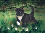 by Rhonda Shereck