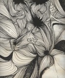 by Norma Nava