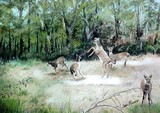 by Terri Walker