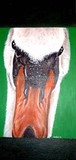 by Paula Shapland