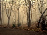 by Ionut Ignat