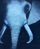 by sylvia Madajewski