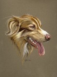 by Jennifer Redstreake