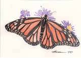 by Kelly Dorman