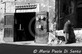 by Maria Paola Di Santo