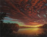 by Walt  Curlee