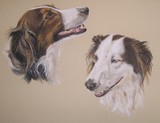 by Joanne Simpson-Connor