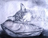 by Leraz Shutkever