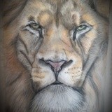 by jay dawn