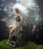 by Anna-Mari Kaipainen