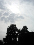 by Dhruv Sharma