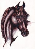 by Janel Taylor