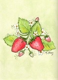 by Michelle Gilsey