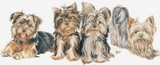 by Barbara Keith