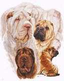 by Barbara Keith