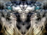 by TOMMY  BEAVER