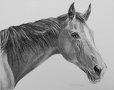by Ann Cottone