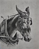 by Heather Farmstead
