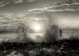 by Danielle Baron