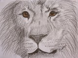 by Michele Turney