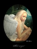 by wendi forrest